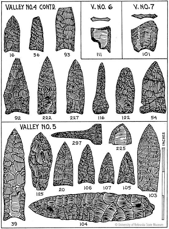 Plate 4