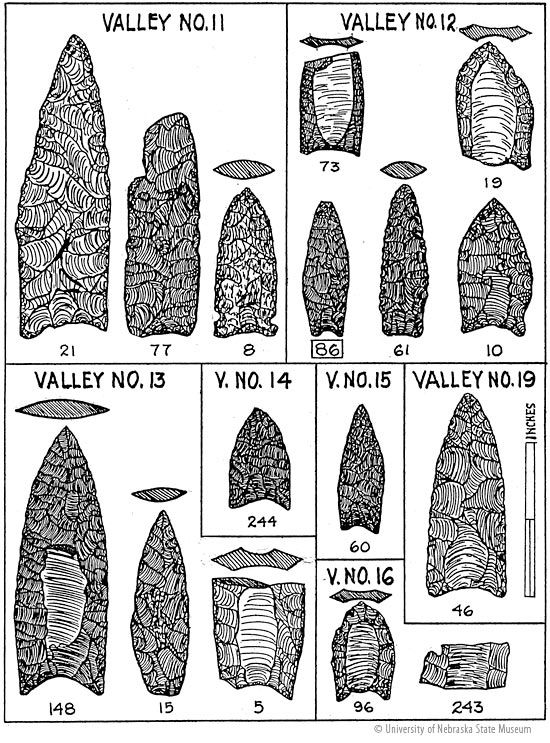 Plate 6